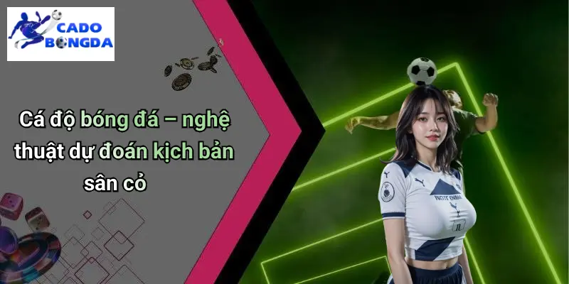 Tin Tức Bóng Đá