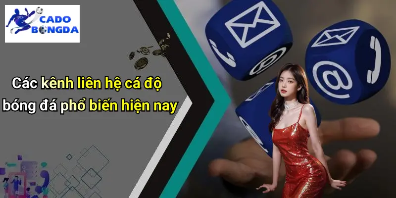 Liên hệ 2 Liên Hệ