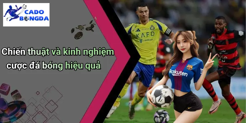 Cá độ bóng đá 71 Cá Độ Bóng Đá
