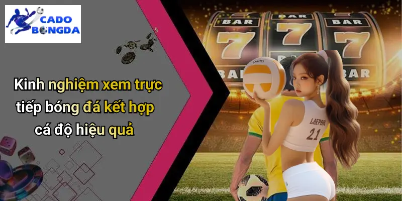 Trực tiếp bóng đá 3 Trực Tiếp Bóng Đá
