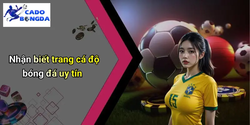 Cá độ bóng đá 68 Cá Độ Bóng Đá