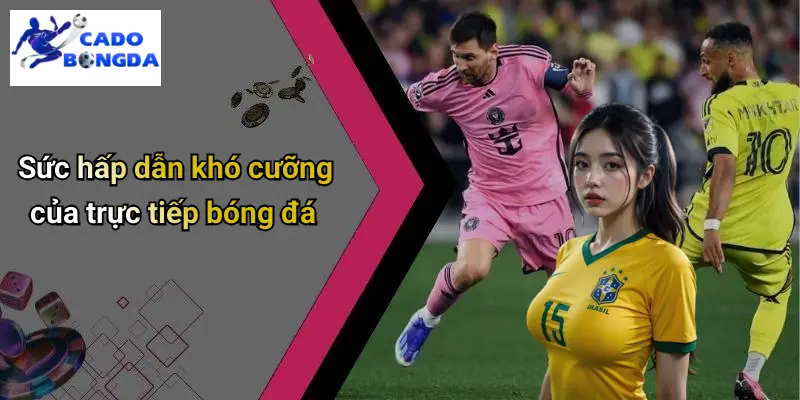 Trực tiếp bóng đá 1 Trực Tiếp Bóng Đá