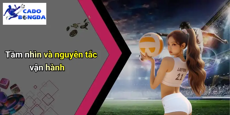 Giới Thiệu