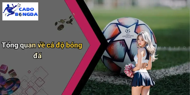 Cá độ bóng đá 67 Cá Độ Bóng Đá