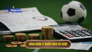 Cách quản lý ngân sách cá cược