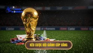 Kèo cược đội giành cúp vàng