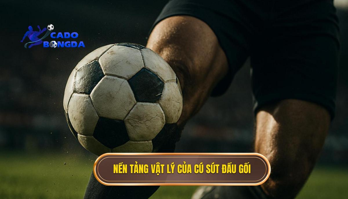 Giải Mã Sức Mạnh Của Kỹ thuật Sút Bóng Bằng Đầu Gối Trái 1 Nền Tảng Vật Lý Và Cơ Học Của Cú Sút Đầu Gối