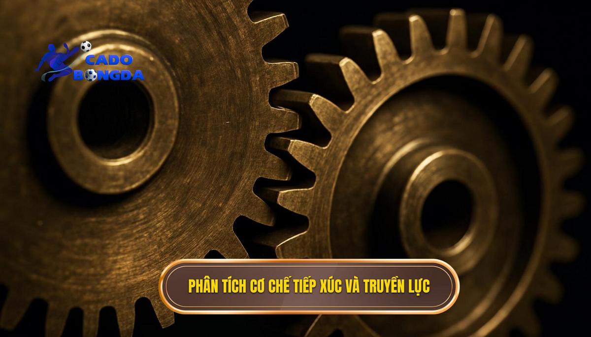 Phân tích Chuyên sâu về Cơ chế Tiếp xúc và Truyền Lực