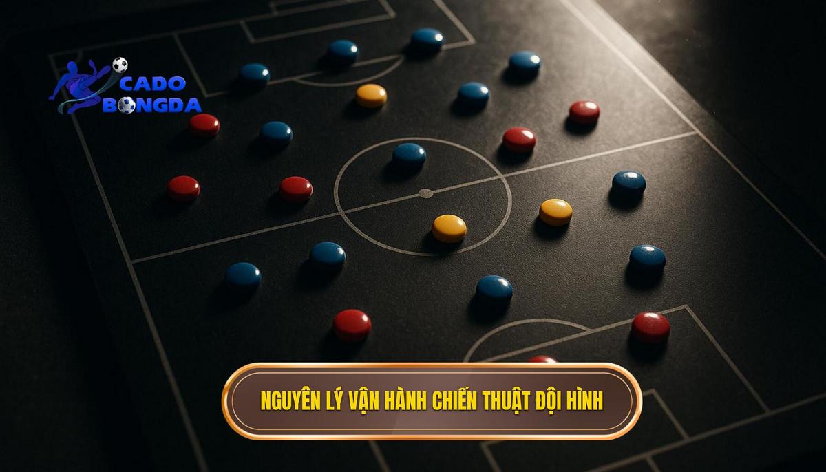 Bản chất và nguyên lý vận hành của chiến thuật đội hình cao