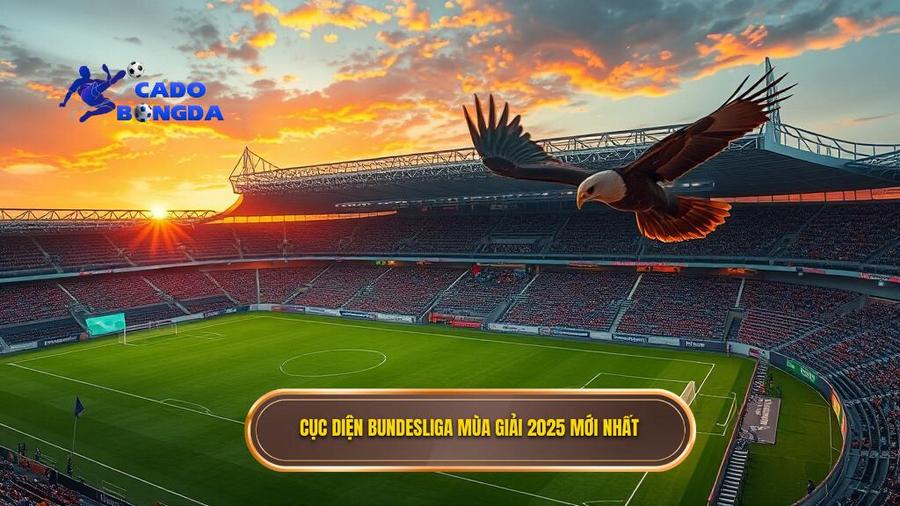 Soi kèo các trận đấu Bundesliga 2025: Phân tích chuyên sâu và chiến thuật thắng kèo 1 Cục diện Bundesliga mùa giải 2025 mới nhất