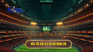 Kèo tài xỉu 4.5 toàn trận