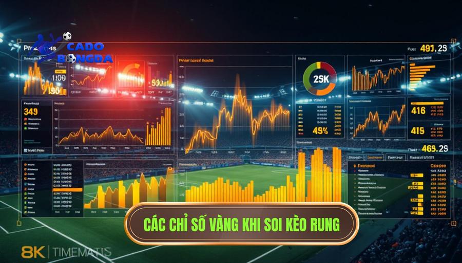 Bảng tổng hợp các chỉ số vàng khi soi kèo rung