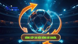 Kèo tài xỉu đang xoay chiều: Bí quyết đọc vị nhà cái chuẩn xác